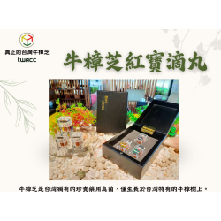 台灣牛樟芝TWAC 台灣牛樟芝TWAC